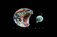 gato tierra se como raton luna