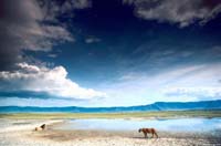 no se si es un paraiso o un desierto